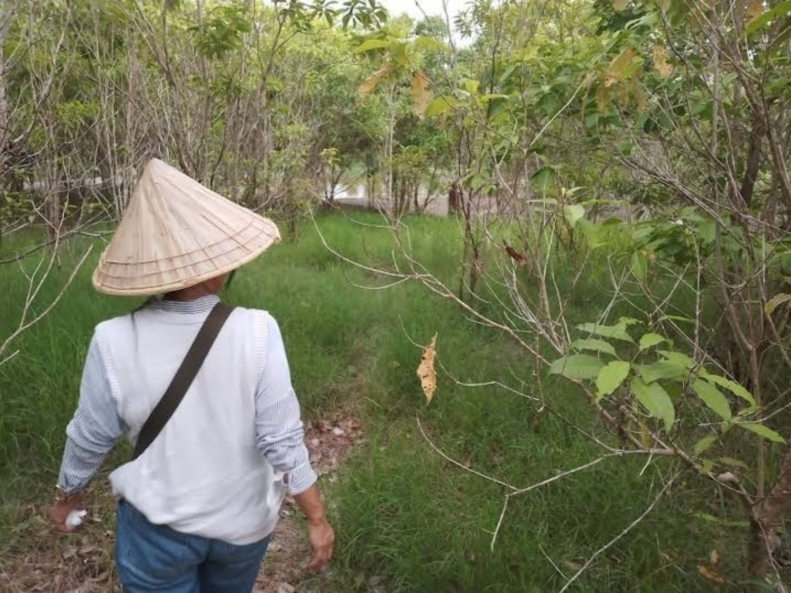 Hutan Rakyat